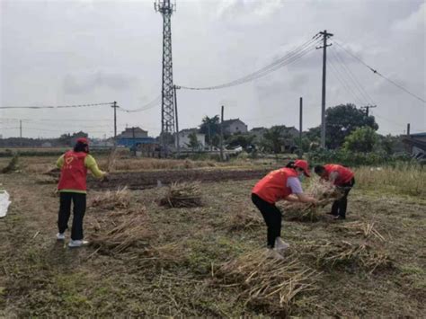 泰兴延令街道：聚焦民生实事 打好秸秆“双禁”和夏收夏种攻坚战市区动态泰州广播电视台