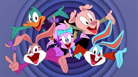 Tiny Toons Looniversity Hd La Série En Streaming Sur Cinemay