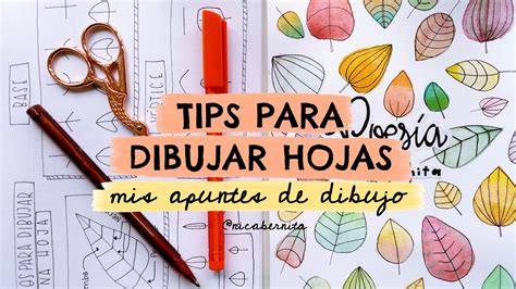 APUNTES DE DIBUJO FÁCIL CÓMO DIBUJAR HOJAS DE ÁRBOLES Y PLANTAS