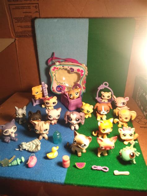 20 Rare Littest Pet Shop Pet With Acessories Small Lps Bag Little Pet