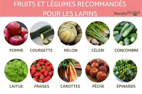 Liste Compl Te Des Plantes Toxiques Pour Lapin