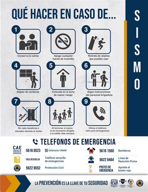 Protocolos Prevenci N Unam Sdri