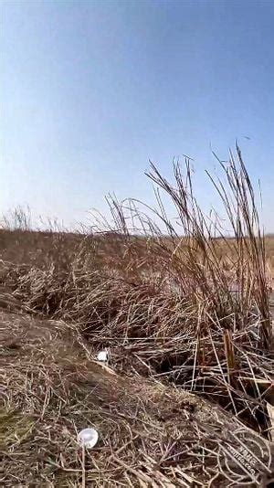 Watch 正在播放 把少妇房东野外按在草地抽插观众太多转战厕所继续 少妇 房东 野战 Porn SpankBang