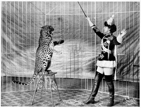 Big Cat Tamer Antique Photos Vintage Photos Vintage Photographs