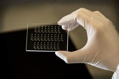 Microfluidic Chips for Single-cell Analysis and Isolation | uFluidix 