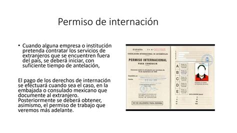 Solution Referencia A Ciertas Modalidades De Los Tr Mites Studypool