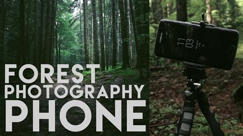 Forest Photography With A Phone Challenge Landscape Photography Tips