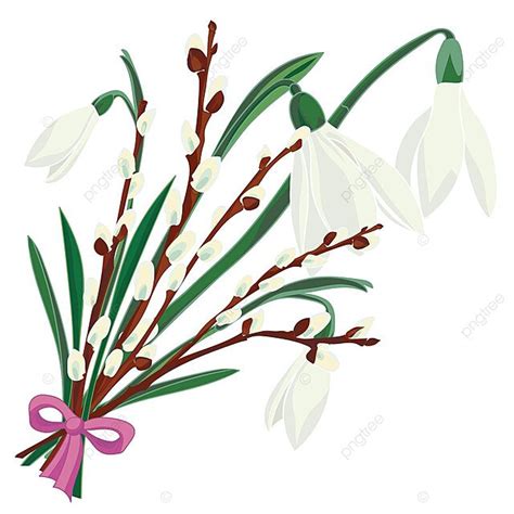 Stunning Spring Floral Backdrop Featuring Delicate Snowdrops And Graceful Pussy Willow Flowers