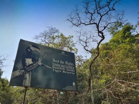 Dandeli Anshi Tiger Reserve Magic And Charm Of The Offbeat Dandeli