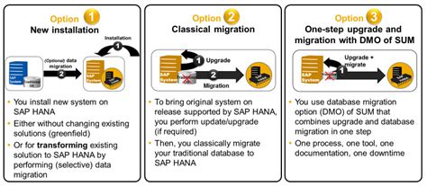 Migration Of Sap Systems To Sap Hana Sap Community