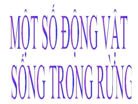 Mot so dong vat song trong rung