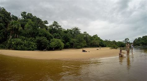 Conhe A Tudo Sobre A Prainha Do Rio Novo No Jalap O To