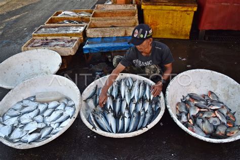 PRODUKSI PERIKANAN NASIONAL ANTARA Foto