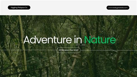 customizable adventure templates