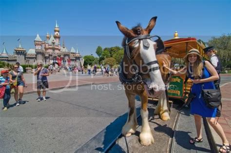 Disneyland First Trip Report - Disney Tourist Blog