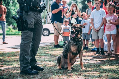 600+ Police Dog Names for Crime Fighting Canines!