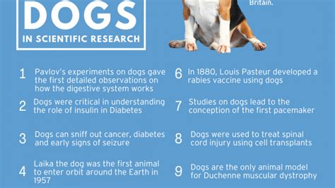 10 Facts Dogs :: Understanding Animal Research