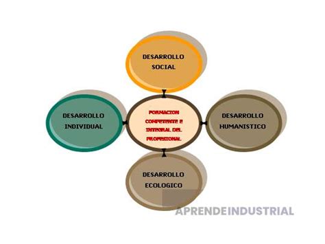 Materias esenciales por semestre en Ingeniería Industrial Guía completa