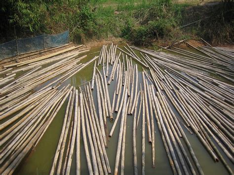 Pengawetan Atap Bambu Jangan yang Tradisional!