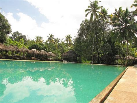 Marari Beach Resort, Kerala Beach Resorts, Kerala, Pool, India, Places ...