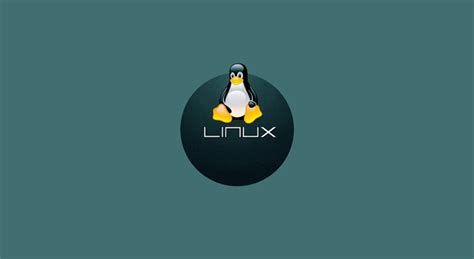 The Difference Between Windows And Linux Nimbits