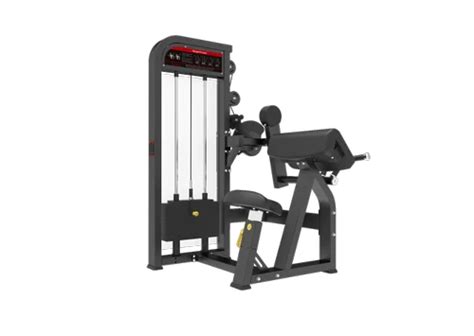 Bicep / Tricep Machine, Size: 84L*33W*89H at best price in Mumbai | ID ...