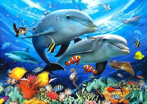 Ocean Animals Wallpapers Wallpaper Cave