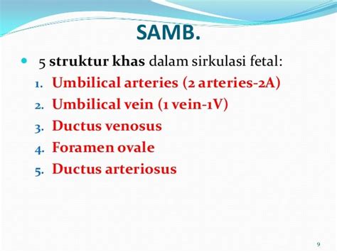 26 Sirkulasi Fetal