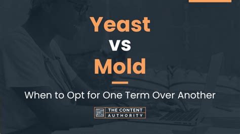 Yeast vs Mold: When to Opt for One Term Over Another