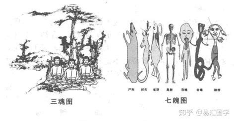 玄学揭秘 人的三魂七魄（内容虚构） 知乎