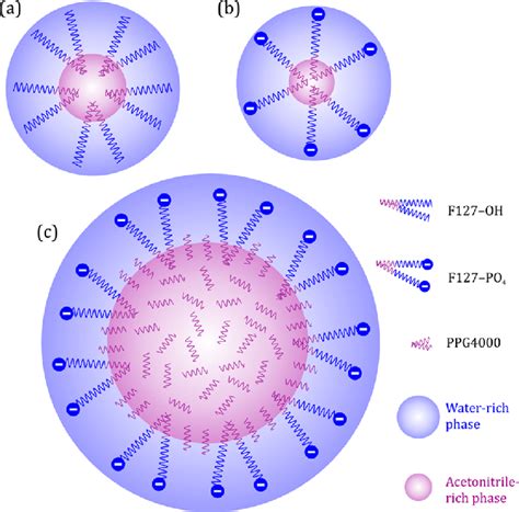 Schematic Representations Of The Proposed Micelle Structures Of The