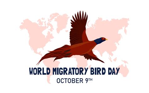 World migratory bird day banner 11949525 Vector Art at Vecteezy