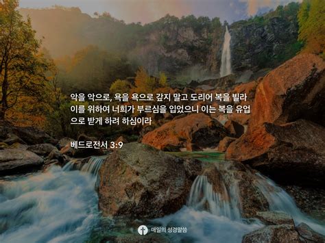 베드로전서 3 9 Daily Bible Inspirations