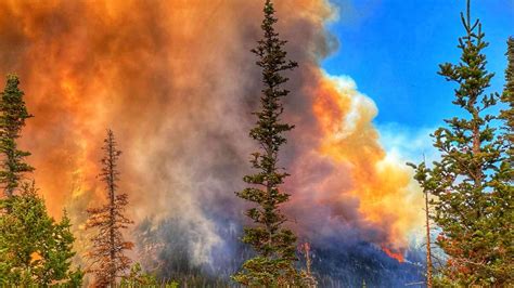 Fire Roundup Wildfires In Southern Utah Continue To Blaze