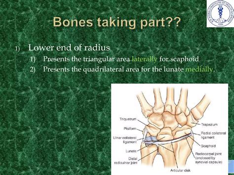 Anatomy and imaging of wrist joint (MRI AND XRAY) | PPTX