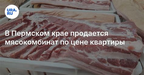 Мясокомбинат в Пермском крае: сколько стоит, где находится