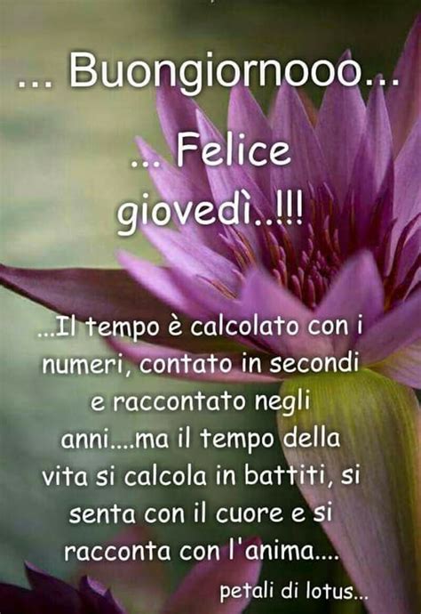 Pin di Stefy 393 su Buon Giovedì Felice giovedì Buongiorno