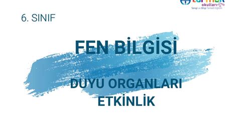 TUZEM 6 SINIF FEN BİLGİSİ DUYU ORGANLARI ETKİNLİK YouTube