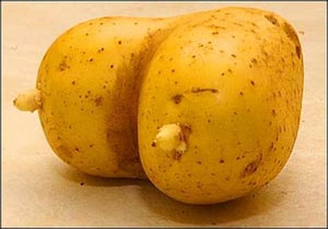 Sexy Potatoes Potato