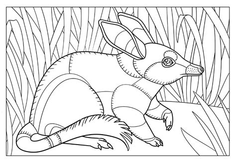 Bilby Printable Coloring Page - Free Printable Coloring Pages for Kids