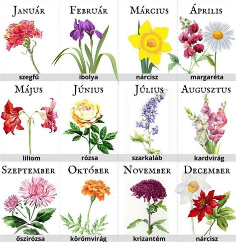 What Is My Birth Month Flower