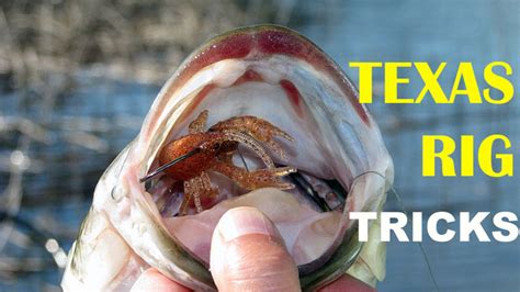 Texas Rig Tips And Tricks How To Video The Ultimate Bass Fishing