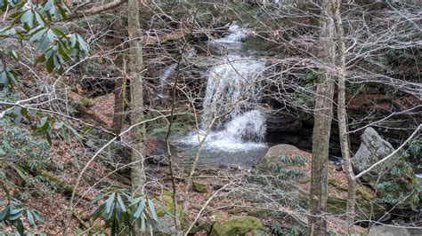 Guided Hikes Lorain Stoneycreek Hiking Trails