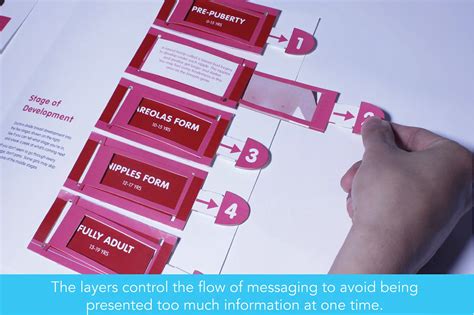 Sex Ed Pop Up Book Wip Behance