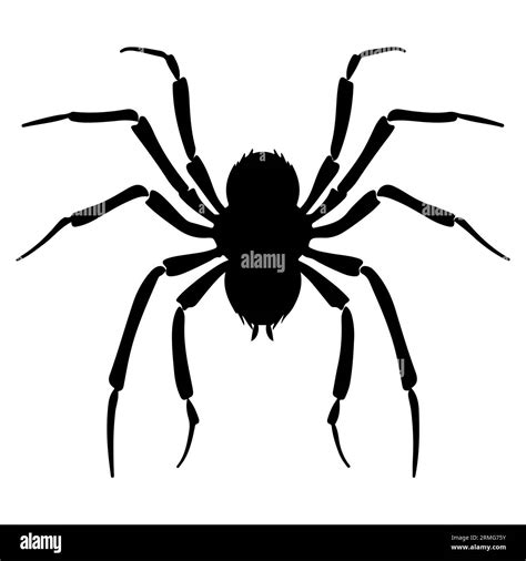 Black Spider Icon Vector Illustration Isolated On White Background