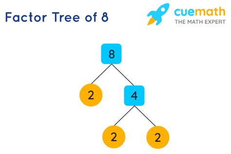 Factors Of Find Prime Factorization Factors Of