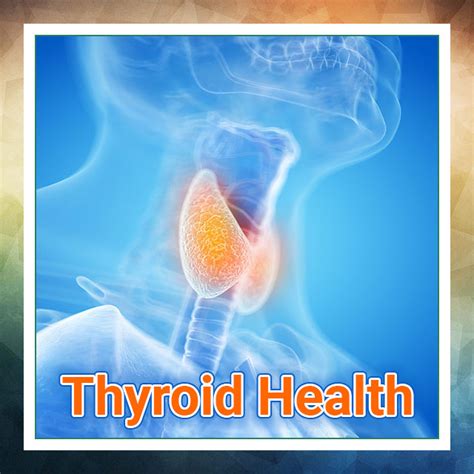 Thyroid Health Payment Plan Next Level Functional Nutrition