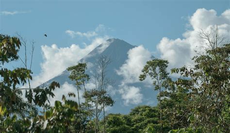 Parque Nacional Sumaco Amazonía Turística