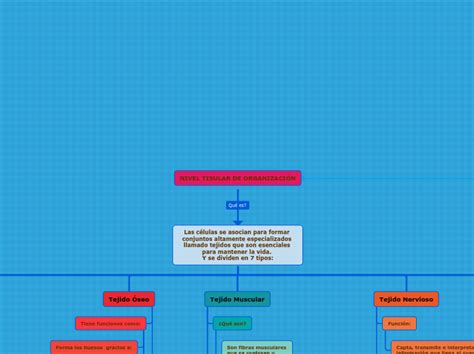 Nivel Tisular De Organizaci N Mind Map