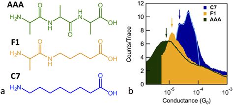 Probing Charge Transport Through Peptide Bonds Abstract Europe Pmc